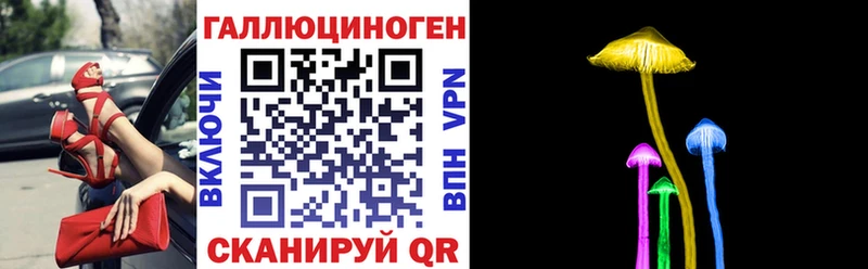 omg ссылки  Цоци-Юрт  Галлюциногенные грибы ЛСД 